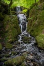 Canonteign Falls in Dartmoor