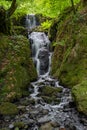 Canonteign Falls in Dartmoor