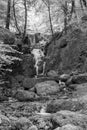 Canonteign Falls in Dartmoor