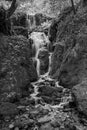 Canonteign Falls in Dartmoor