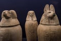 Canopic jars inside of the Museum of Egyptian Antiquities, used by the Ancient Egyptians during the mummification process to store Royalty Free Stock Photo