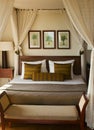 Canopied bed in bedroom