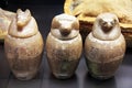 Canopus jars