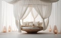 Canopy Bed on white background. Royalty Free Stock Photo