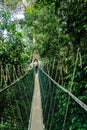 Canopy bridge Royalty Free Stock Photo