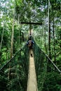 Canopy bridge Royalty Free Stock Photo