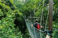 Canopy bridge Royalty Free Stock Photo