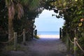 A quaint pathway to the beach lined with ropes trees canopying the view to the ocean.