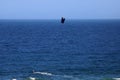 CANOPY OF KITE SURFER IN THE WIND OVER THE OCEAN Royalty Free Stock Photo