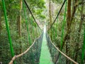 Canopy Trail in Bukit Lawang Orangutan Viewing Centre Royalty Free Stock Photo