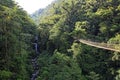 Canopy Tree Trek