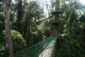 Canopy walk Royalty Free Stock Photo