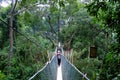 Canopy walk Royalty Free Stock Photo