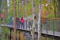 Canopy Walk In The Forest