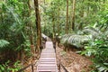 Canopy walk. Malaysia Royalty Free Stock Photo