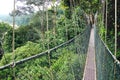 Canopy walk. Malaysia Royalty Free Stock Photo