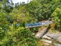 Canopy Walk