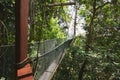 Canopy walk in rainforest Royalty Free Stock Photo