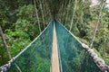 Canopy walk in rainforest Royalty Free Stock Photo