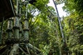 Canopy Walk Tower in the Rainforest Discovery Centre in Sepilok, Borneo, Malaysia Royalty Free Stock Photo