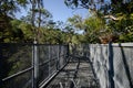 Canopy walks at Queen sirikit botanic garden Chiang Mai, Thailand Royalty Free Stock Photo