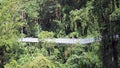 Canopy walks to explore nature. Canopy walks at Queen sirikit botanic garden Chiang Mai, Thailand. Royalty Free Stock Photo