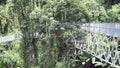 Canopy walks to explore nature. Canopy walks at Queen sirikit botanic garden Chiang Mai, Thailand. Royalty Free Stock Photo