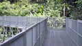 Canopy walks to explore nature. Canopy walks at Queen sirikit botanic garden Chiang Mai, Thailand. Royalty Free Stock Photo