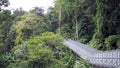 Canopy walks to explore nature. Canopy walks at Queen sirikit botanic garden Chiang Mai, Thailand. Royalty Free Stock Photo