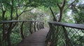 Snakebridge at the Kirstenbosch botanical gardens