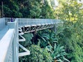 Canopy walkway ,Thailand`s longest treetop walkway opens at the Queen Sirikit Botanical Garden Royalty Free Stock Photo