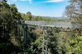 Canopy walkway located at the impressive Queen Sirikit Botanic Gardens in the Mae Rim district in the mountains. Chiang Mai,