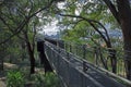 The canopy walkway of Lotterywest Federation Walkway Glass Arched at King`s Park and Botanical Garden in Perth, Australia. Royalty Free Stock Photo