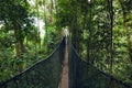 Canopy walkway at National Kinabalu Park, Taman Negara Kinabalu Royalty Free Stock Photo