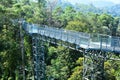 Canopy walkway at Queen Sirikit botanic garden Chiangmai, Thailand