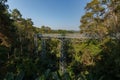 The Canopy walkway, Queen Sirikit Botanic Garden