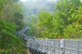 Canopy Walkway