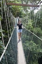 Canopy walkway. Taman Negara National Park