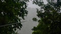 Canopy / Zipline in the cloud forest of Monteverde and Santa Elena, Costa Rica. Royalty Free Stock Photo