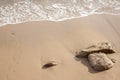 Canos de Meca Beach, Cadiz, Andalusia