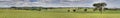 Canowindra Pastoral Countryside Landscape Panorama Royalty Free Stock Photo