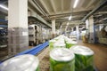 Cans with drink mojito on conveyor in Ochakovo