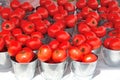 Cans of freshly picked tomatoes. Royalty Free Stock Photo