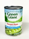 Cans of Green Giant Sweet Peas on White Background Royalty Free Stock Photo