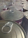 Cans packaged Royalty Free Stock Photo