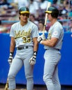 Canseco and McGwirer --The Bash Brothers Royalty Free Stock Photo