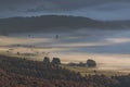 The Cansiglio plateau at dawn