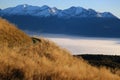 The Cansiglio plateau covered by fog in the morning