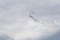 Cant of ducks flying over cloudy sky