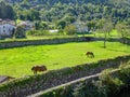 Cantabria landscape with field,grasing horses, mountains and a small village. Spain